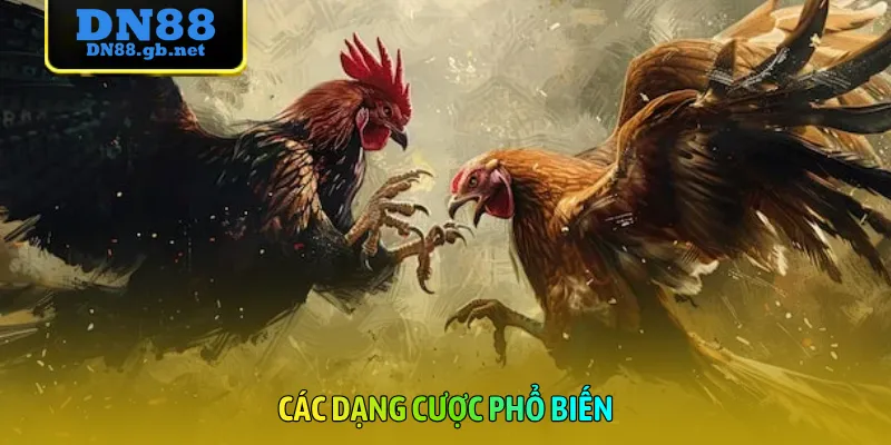 Các dạng cược phổ biến