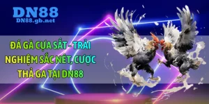 đá gà cựa sắt