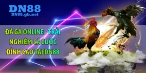 đá gà online