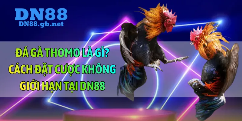 đá gà thomo