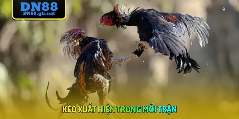 Kèo xuất hiện trong mỗi trận