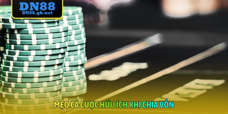 Mẹo cá cược hữu ích khi chia vốn