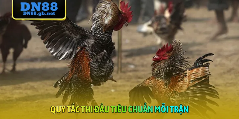 Quy tắc thi đấu tiêu chuẩn mỗi trận