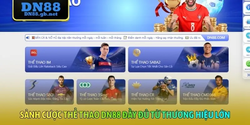 Sảnh cược thể thao DN88 đầy đủ từ thương hiệu lớn